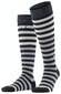 Burlington Blackpool Stripes Socks Black