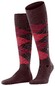 Burlington Preston Knee-Highs Claret