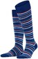 Falke Microblock Stripe Knee-Highs Royal Blue