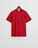 Gant Graphic Crew Neck T-Shirt Ruby Red